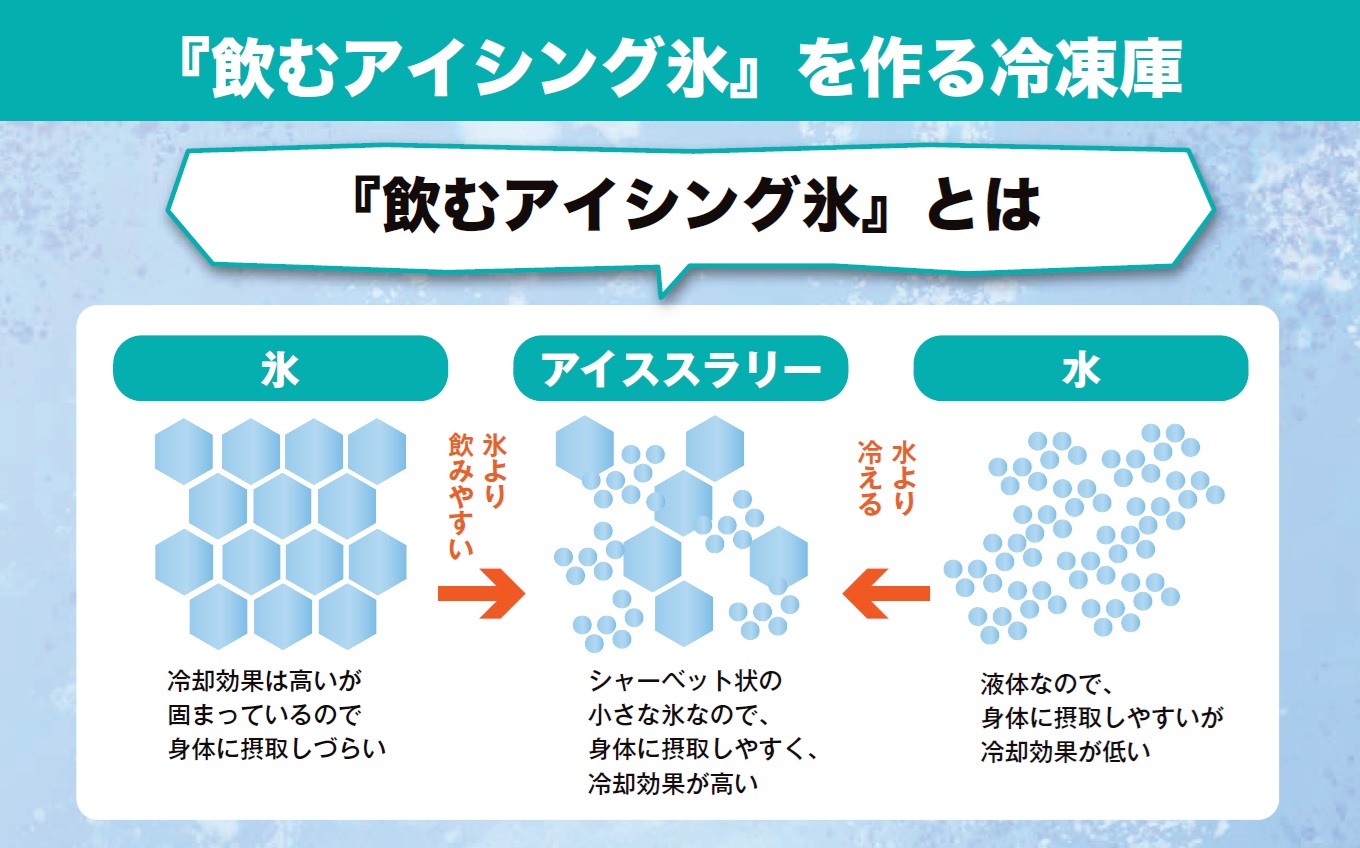 COOLシャリ庫 232480 別途送料 W515XD615XH977(mm) 93L